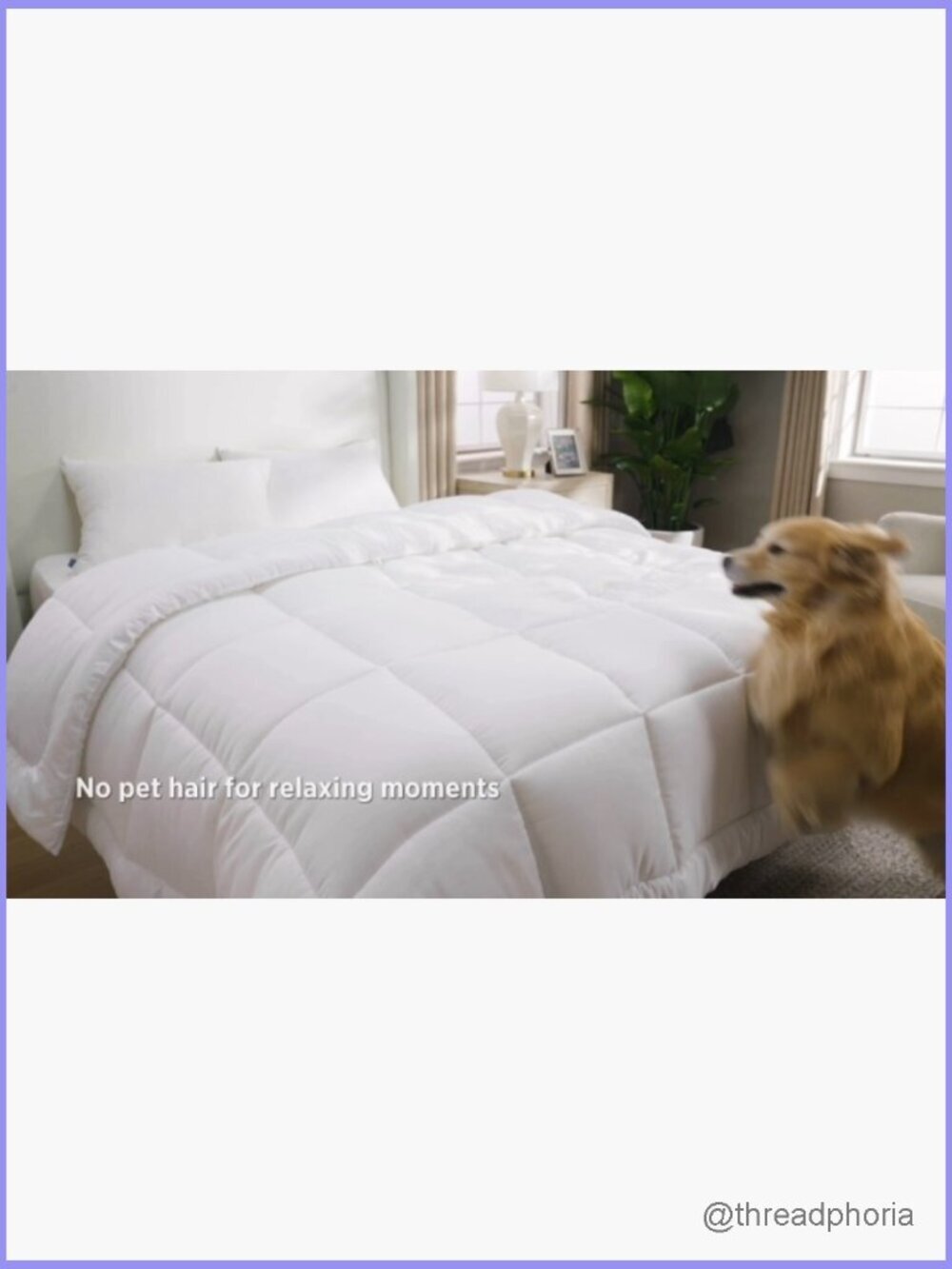 Queen Comforter Duvet Insert All Season Down Alternative Quilted with 8 Tabs - Picture 7 of 7